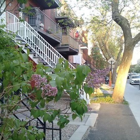 Pink Piano Homestay In A Funky Tiny Appartment To Share With Curtains As Dividers -- Hebergement Aux Rideaux Chez L'Habitant Montreal Exterior photo