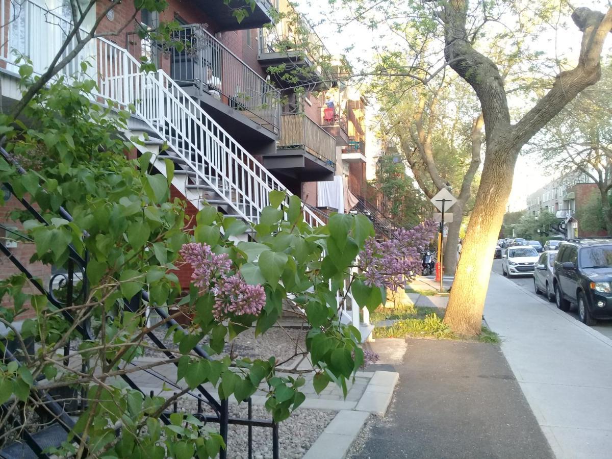 Pink Piano Homestay In A Funky Tiny Appartment To Share With Curtains As Dividers -- Hebergement Aux Rideaux Chez L'Habitant Montreal Exterior photo